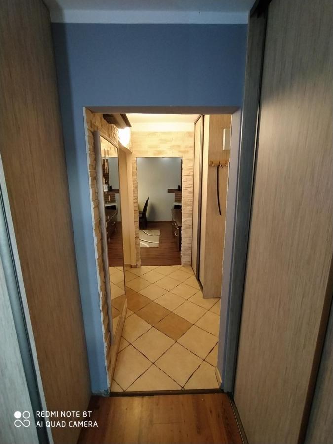 Апартаменти Apartament Pradnik Краків Екстер'єр фото